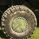 Image for article titled Halo Warthog Comes To Life